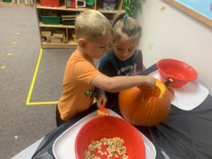 Separating the seeds from pumpkin pulp.